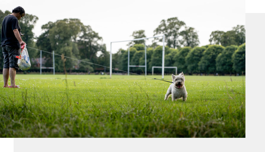 Cardiff Walks